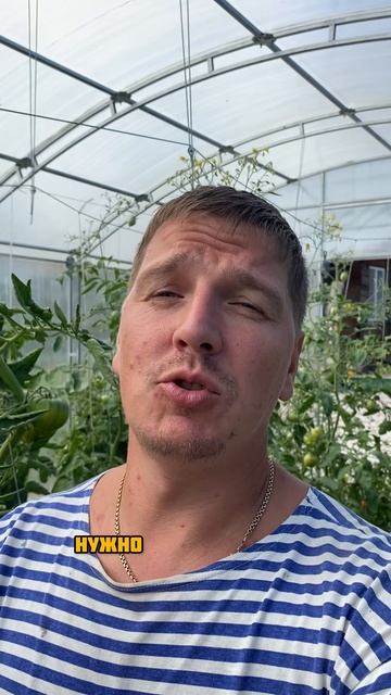 Секрет гигантского арбуза