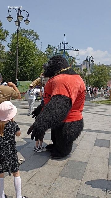 Кин-Конг во Владивостоке