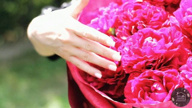 Пионы Голландия, доставка цветов в Ростове-на-Дону