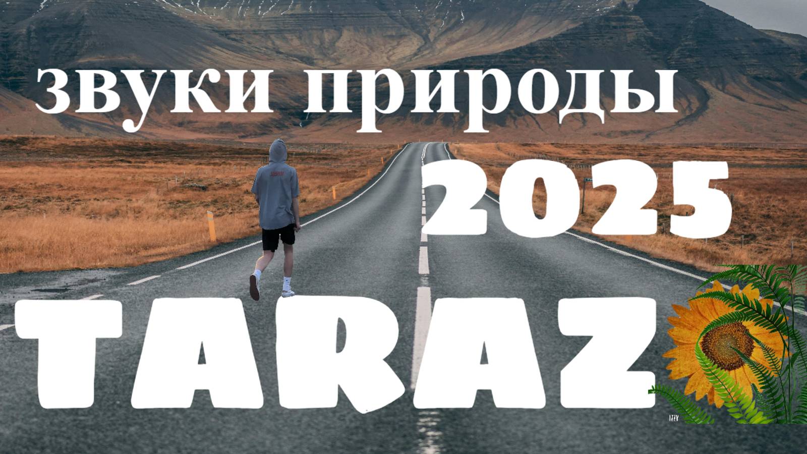 Звуки природы 2025