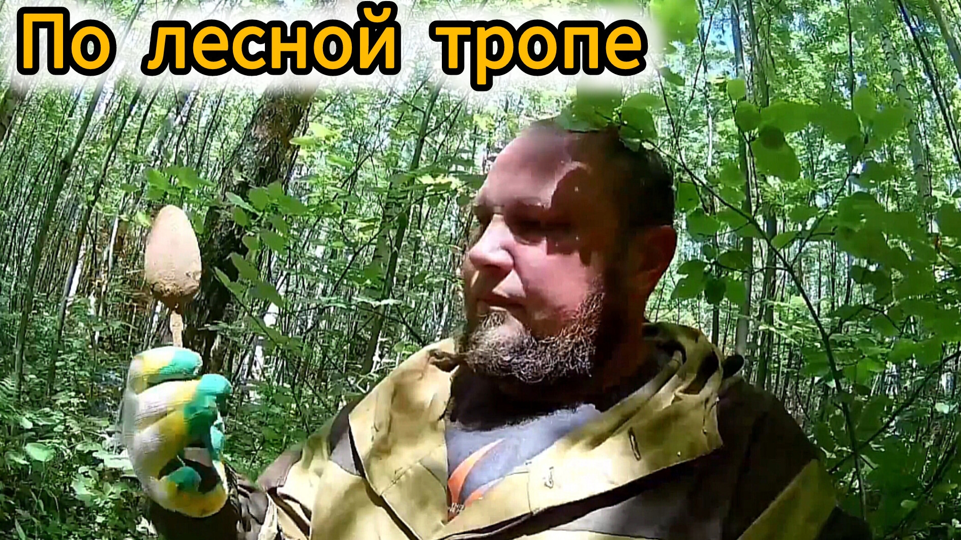 Лесной поиск на лесной тропе