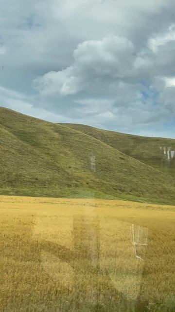 По Башкирии …11 августа 2025 год