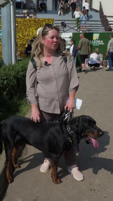 Кунхаунд - добродушный любитель просторов