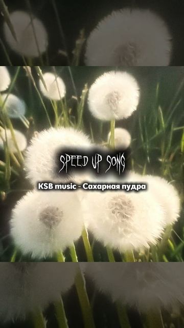 Песня сахарная пудра