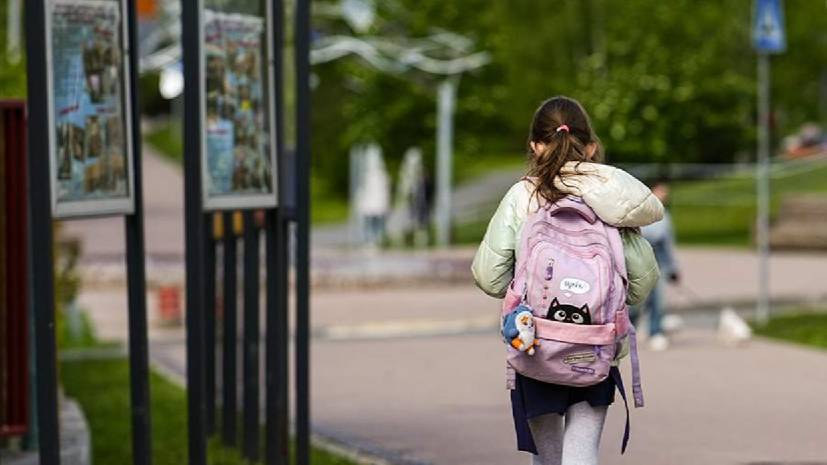 В ЛДПР предложили ввести штрафы за травлю детей в школах и интернете