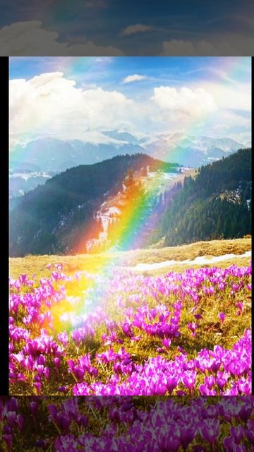 Содружество