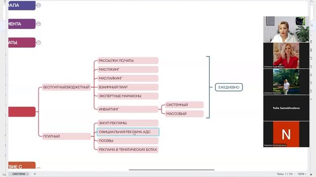 СИСТЕМА:Дорожная карта эксперта