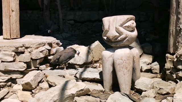 Океанариум и зоопарк на Канатной дороге в Геленджике.