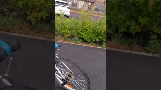 Кладём ментом в колу 0.5 л