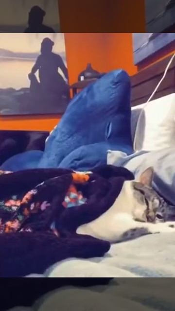 Проснись и пой:)