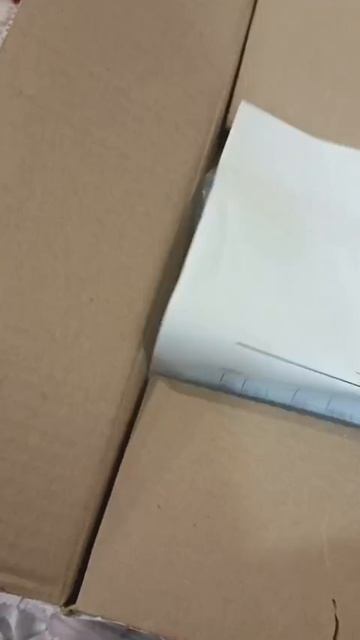 VID-20250814-WA0004.mp4