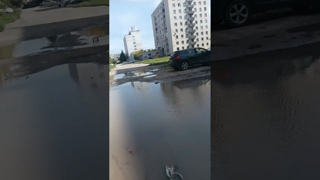 камера с велика... едем до веростроя