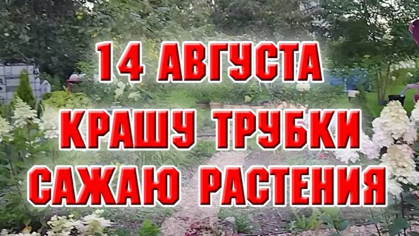 14 июля. Крашу, сажаю новые растения