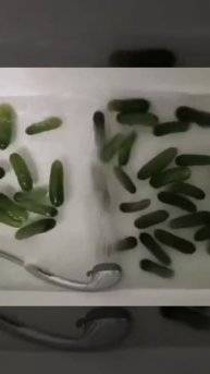 Огуречный вальс