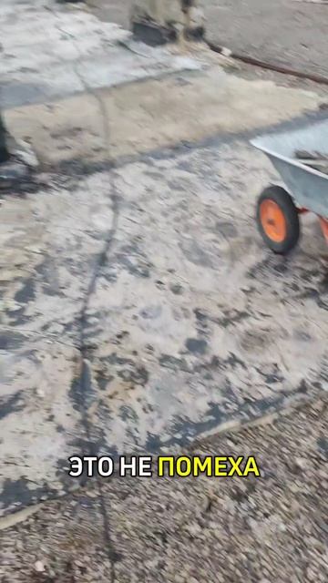 День 7-ой. 26 мая 2025 г. Продолжаю.
#Было_стало
#Сеща
#Старая_школа
#Вторая_жизнь
#Крыша