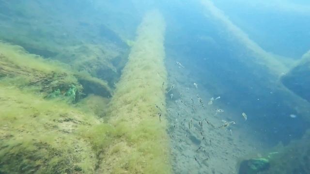 дайвинг на Байкале