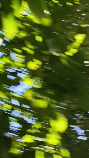 Увидели белку 🐿️ Часть 2