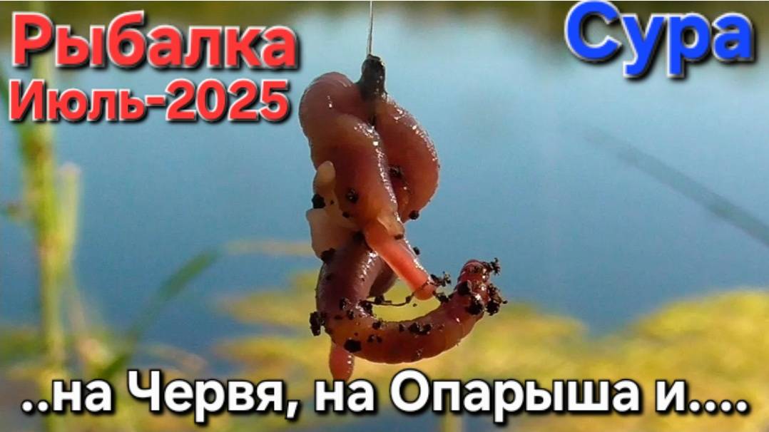 Река СУРА: тихая рыбалочка на Сома и Леща!!! Выползок, Червяк и Опарыш.... Лето-2025