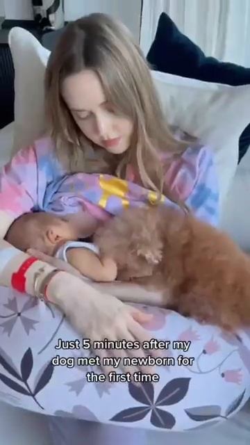 Это очень мило😍))