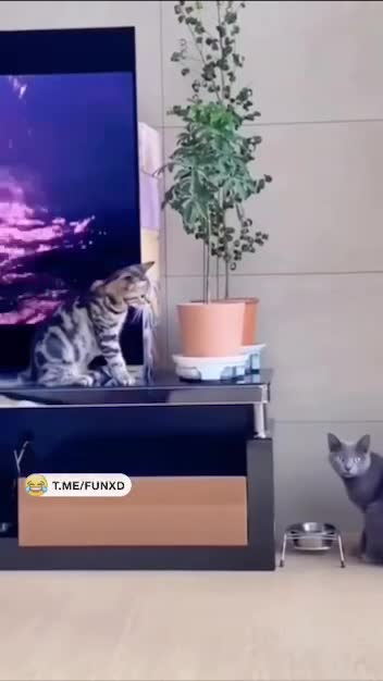 Эх, суеты захотелось!😆