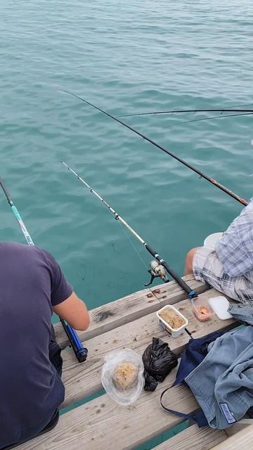 Рыбаки в Лазаревском 🎣