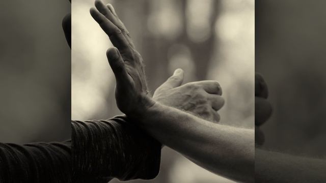 Вечной Весны Подкаст. Евгений Парамонов, Вин Чун Израиль: "Лят Лят".