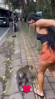 Смех до слёз ✓ забавные моменты ✓ лучшие видео приколы 🤣👍🚀