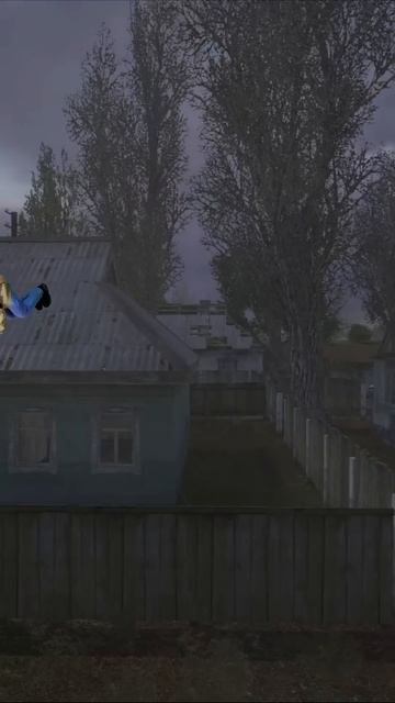 Толик в игре - STALKER Тень Чернобыля