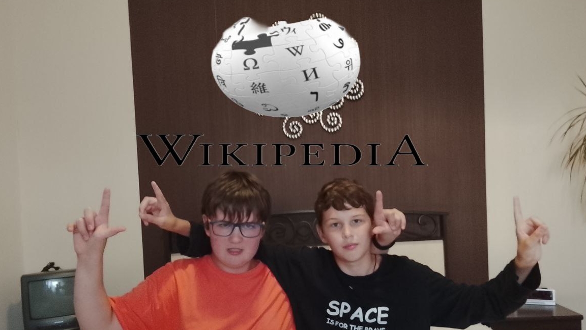 Википедия (не для ботанов)