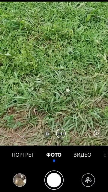 SVID_20250810_130035_1.mp4