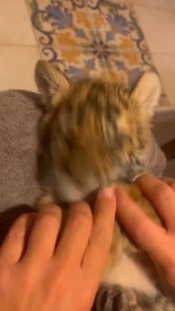 VID_20250814_012658_471.mp4
