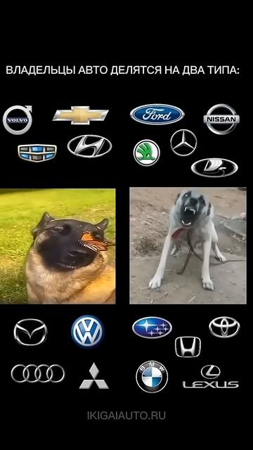 А ты какой тип?