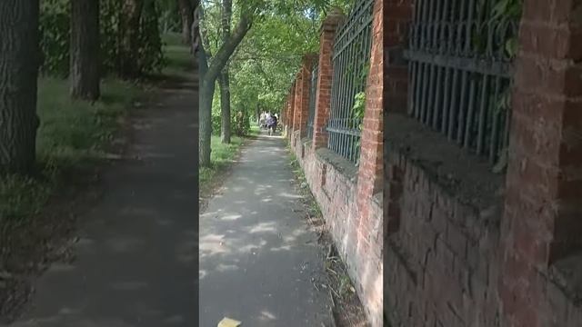 Вывела 820 рублей с Дзена и пошла в магазин