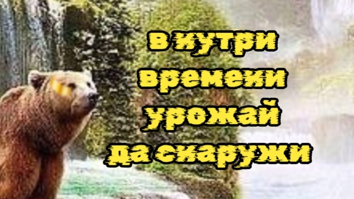 Костёр преображений силы внутри времени урожай снаружи