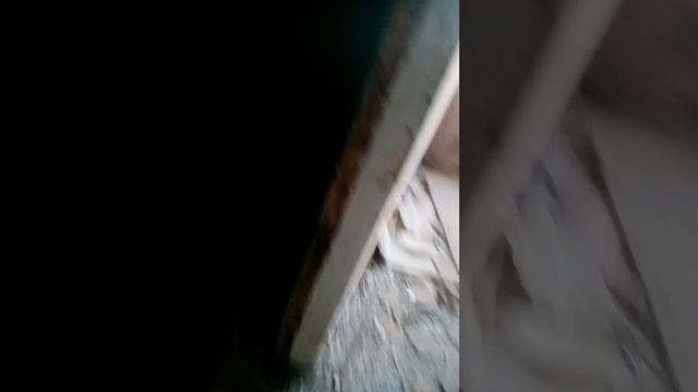 Сходили на заброшу в Лысьве 1 часть