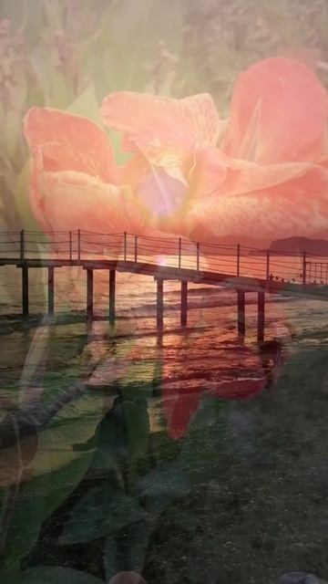 13 августа ШИКАРНОЕ МОРЕ СЕГОДНЯ. ТЁПЛОЕ, ЛАСКОВОЕ, ИГРИВОЕ. ТУРЦИЯ 2025.