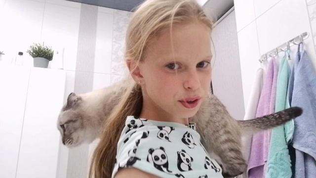 мой вечер💮✨