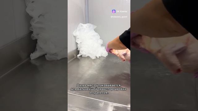 Как проходит забой. Видео от нашего Заказчика