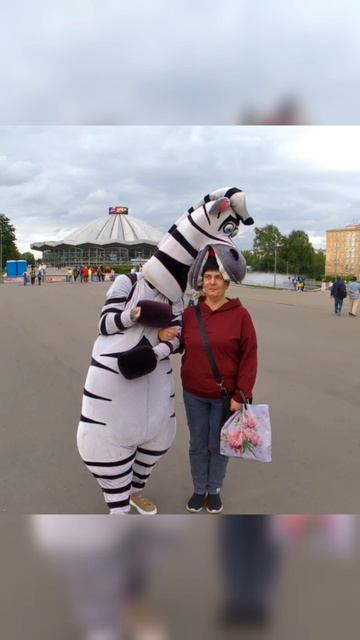 Мимо этой зебры не пройдешь.mp4