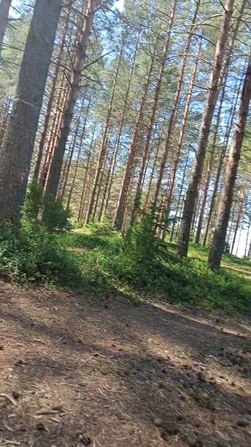 VID20220702115022.mp4