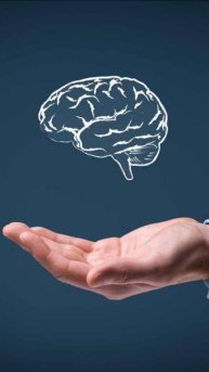 Стоматолог и Риэлтор в Москве на realtycapitals.ru