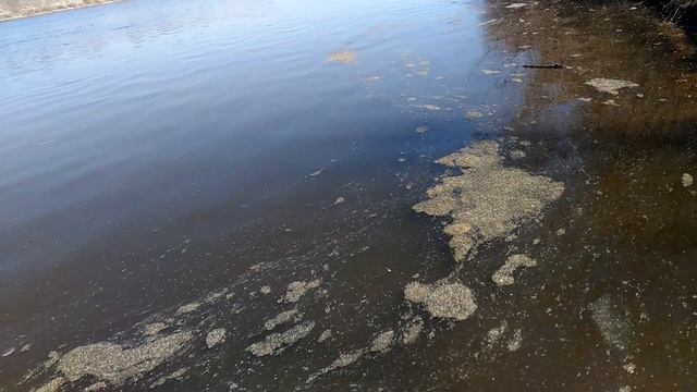 д.Ростислаевка, Ульяновская область, 2024г. май и сентябрь.