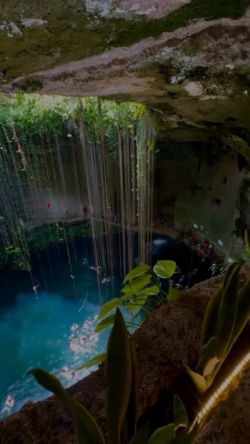 VID_20250814_014224_171.mp4