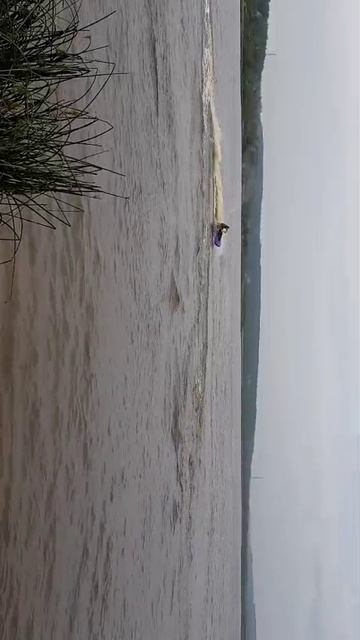 Покатушки wave blaster rz700