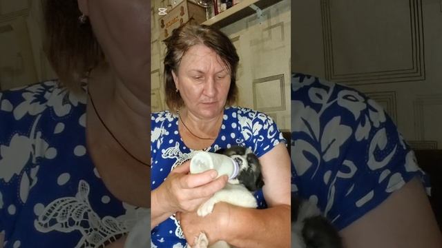 Молочко для Малышка заканчивается, помогите купить