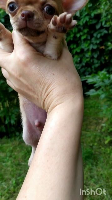 мальчик забронирован!