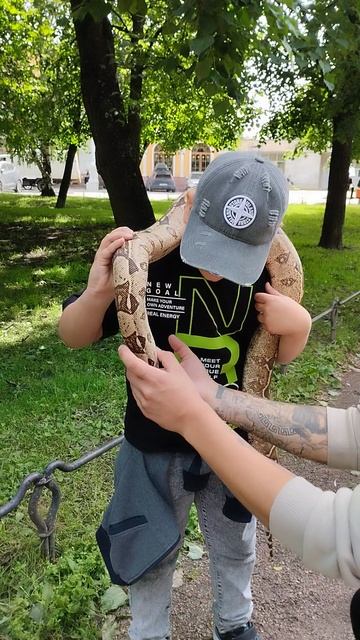 VID_20250709_130000.mp4