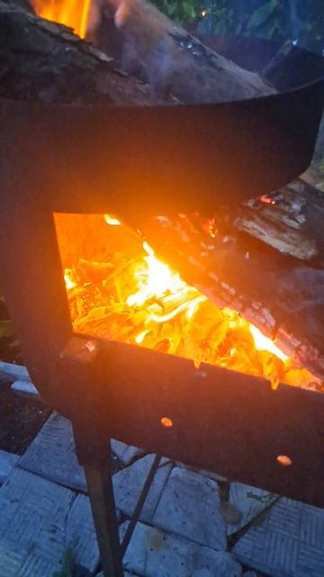 Мысли у костра.