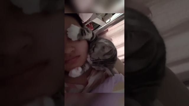 СМЕШНЫЕ ВИДЕО 🙂😆