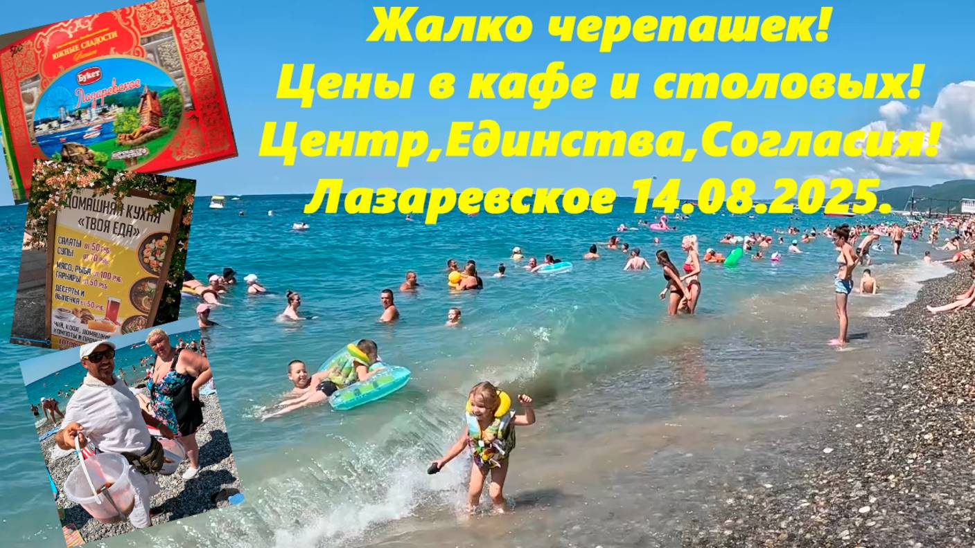 Жаль черепашек! Цены в кафе и столовых! Центр, Единства, Согласия и пляж! Лазаревское 14.08.2025.